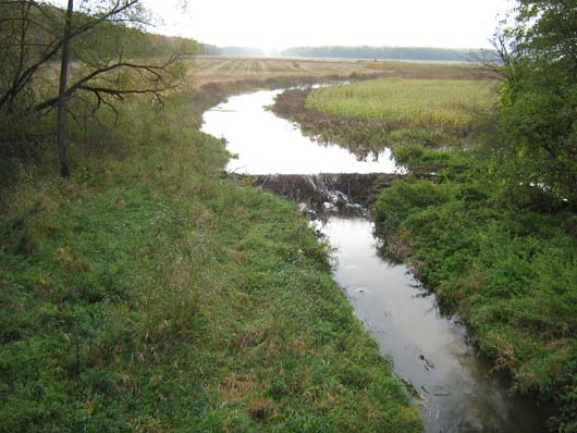 бобровая запруда на реке у деревни Богушовка Гродненского района
