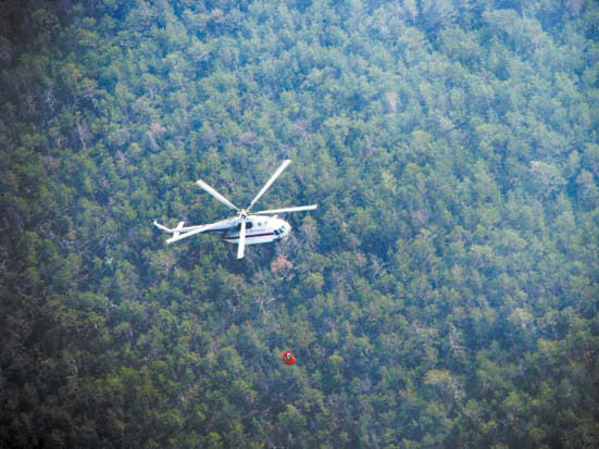 вертолет МЧС над лесом