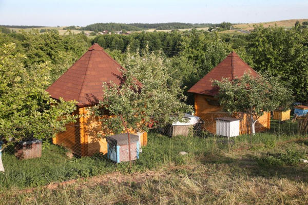 домики с пчелиными ульями в агроусадьбе «Гаенские истоки»