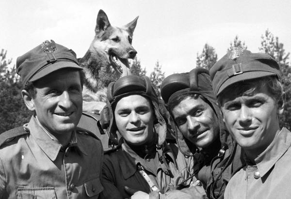 собака из фильма «Четыре танкиста и собака»