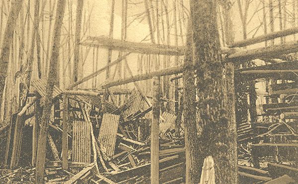 разрушенные немецкие блиндажи в «лесу Гинденбурга»