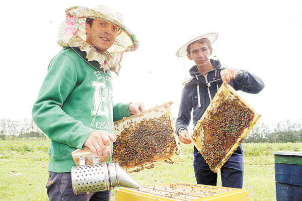  молодые пчеловоды Максим Кулагин и Андрей Петракович