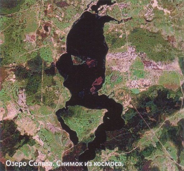 снимок из космоса на озеро Селява